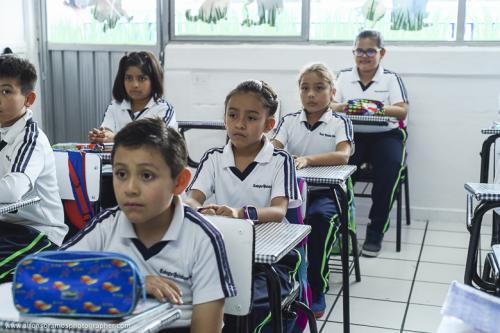 Colegio Quintana Roo primarias puebla