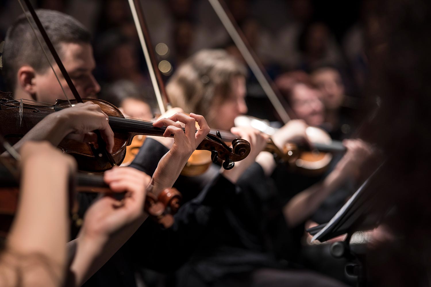 Escuelas de Música en Guadalajara