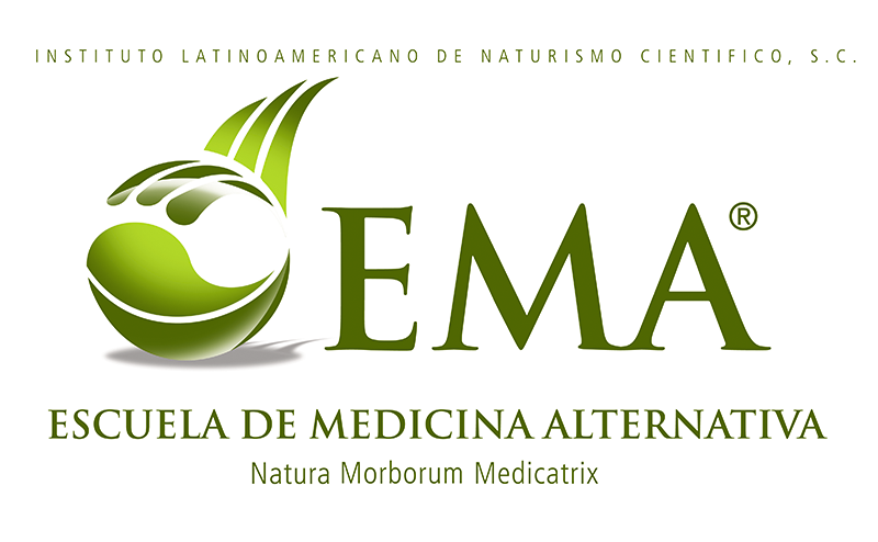 escuela medicina puebla - Escuela de Medicina Alternativa EMA