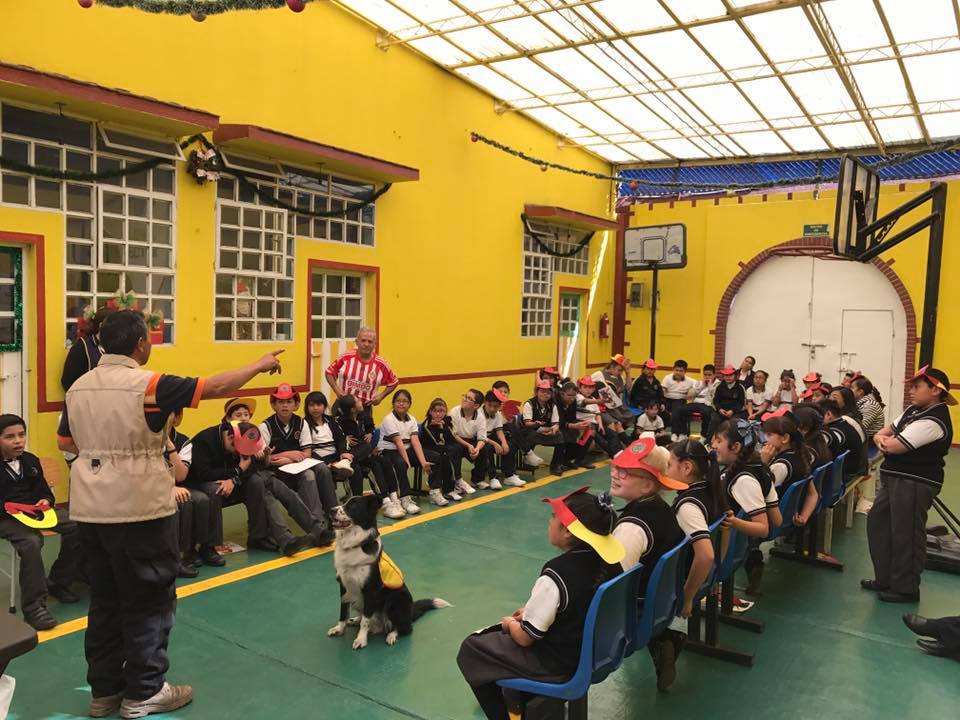 Instituto Pedagógico Celestin Freinet escuelas primarias en zapopan