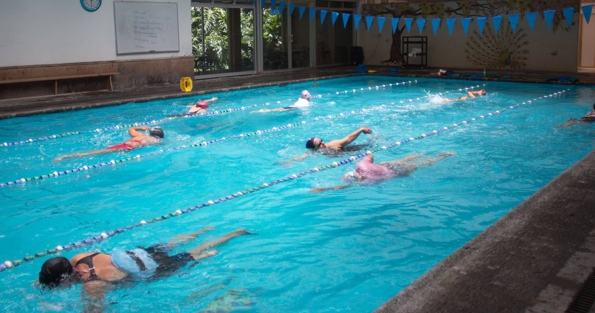 Mejores escuelas de natación en Guadalajara