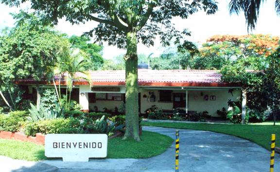 Escuelas de ingles en Cuernavaca