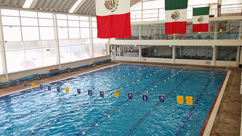 escuelas de natación en puebla