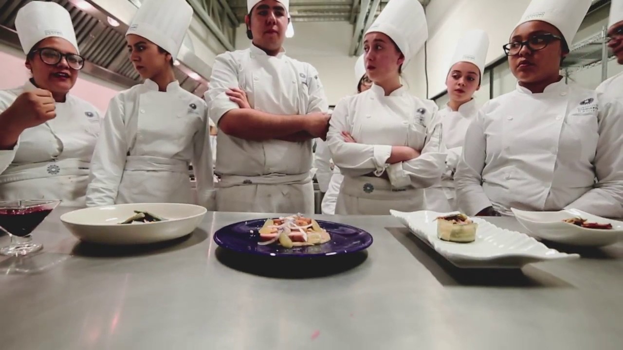 Instituto  Culinario Danieli - escuela de gastronomia san luis potosi